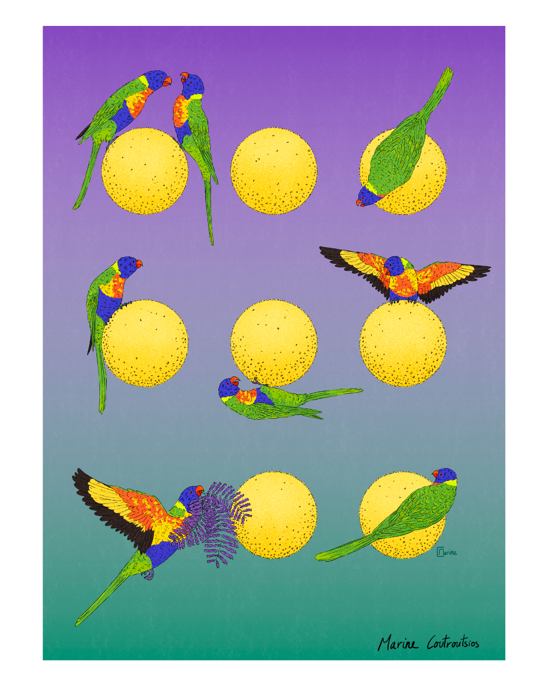 Marine-Coutroutsios-Mimosa-IG